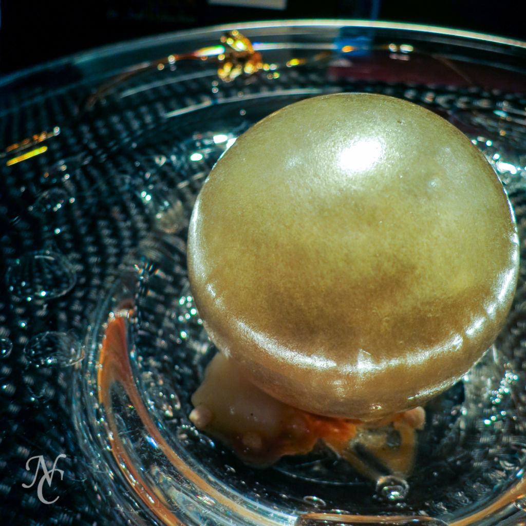 Robuchon-29