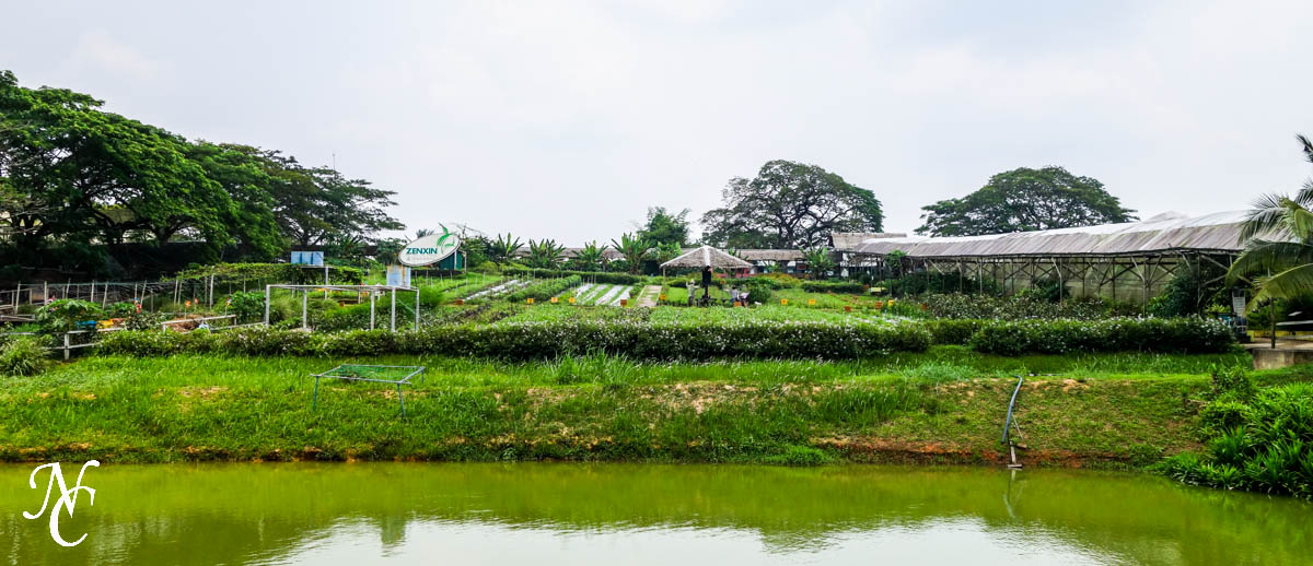 zenxin_park-10