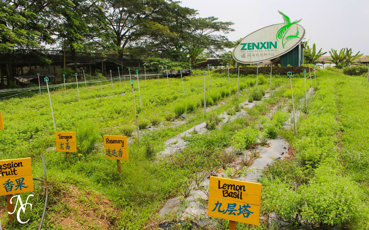zenxin_park-34