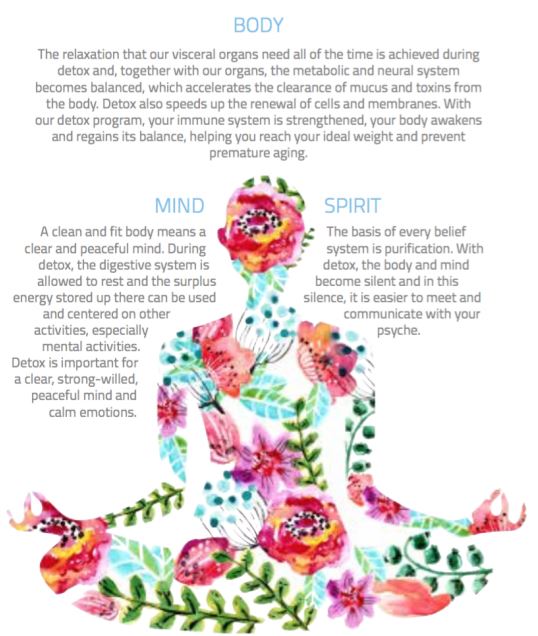 Holistic Detox @ The LifeCo